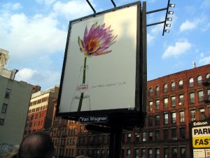 Streets + Buildings NYC(106).JPG